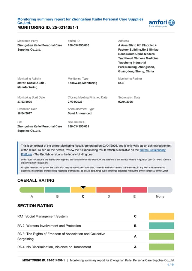 BSCI Audit Report