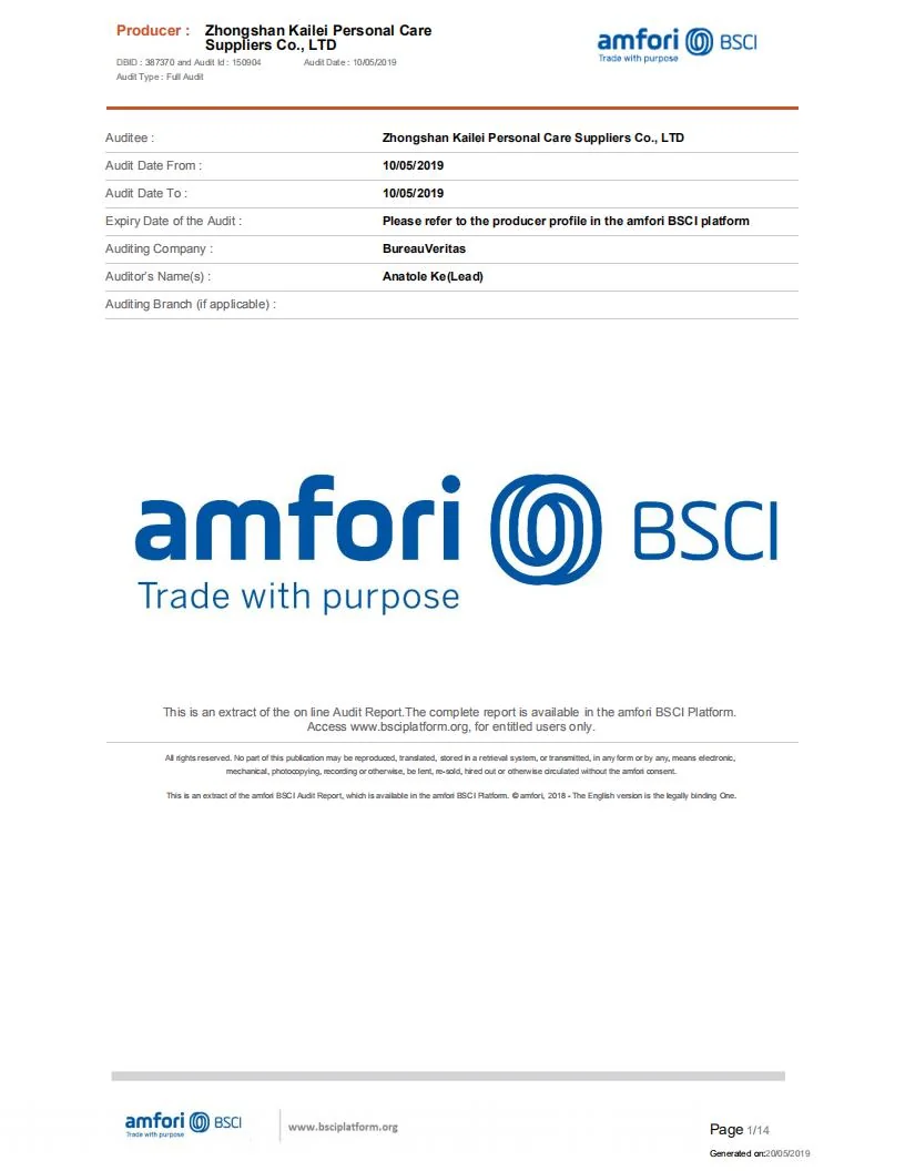 BSCI Audit Report certificate
