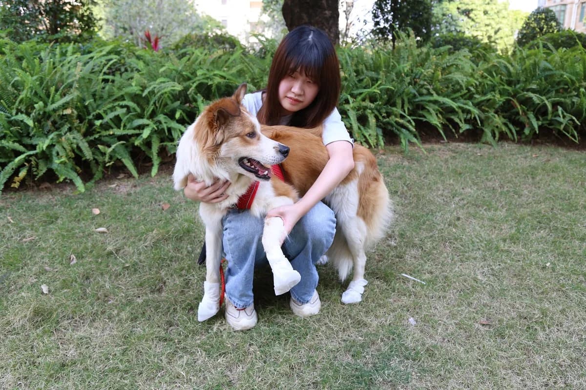 Pet Moisturizing Foot Mask - 16