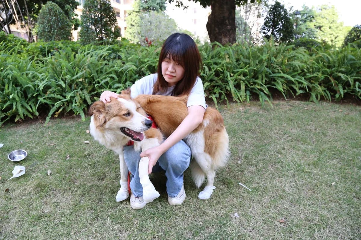 Pet Moisturizing Foot Mask - 18
