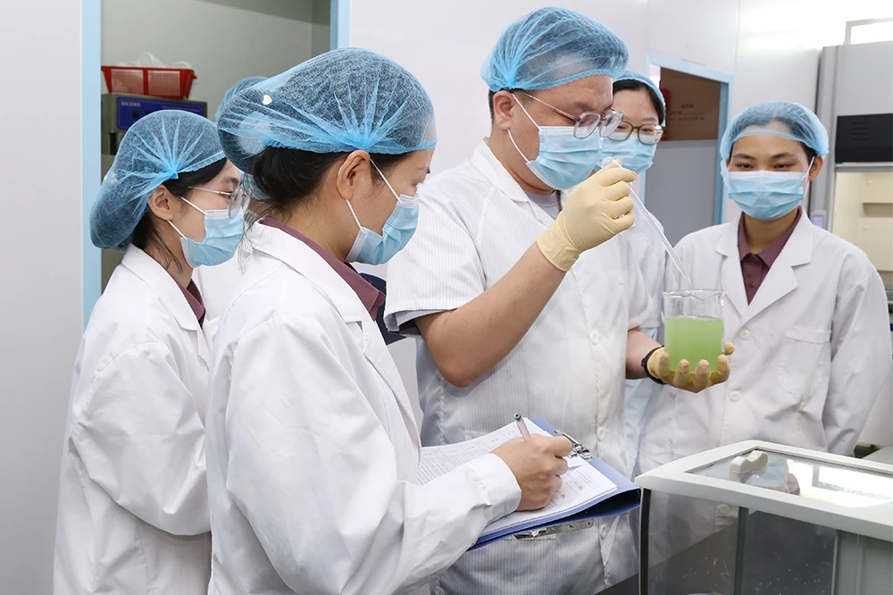 Laboratorio interno CALLA — pruebas de seguridad y estabilidad
