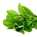 Maschera Viso all'Argilla e Fango - 30