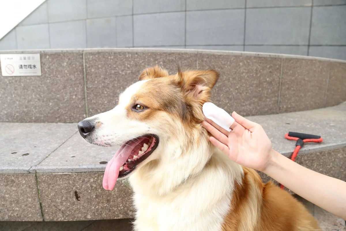 Pet Care Gloves thumbnail 9
