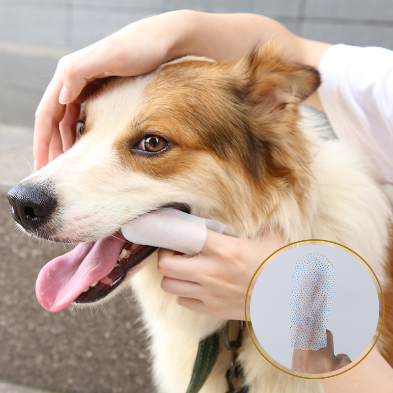 Pet Dental Finger Wipes - 1