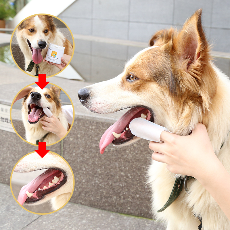 Pet Dental Finger Wipes - 3