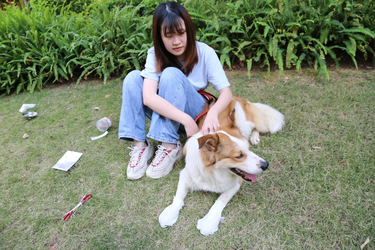Pet Moisturizing Foot Mask thumbnail 4