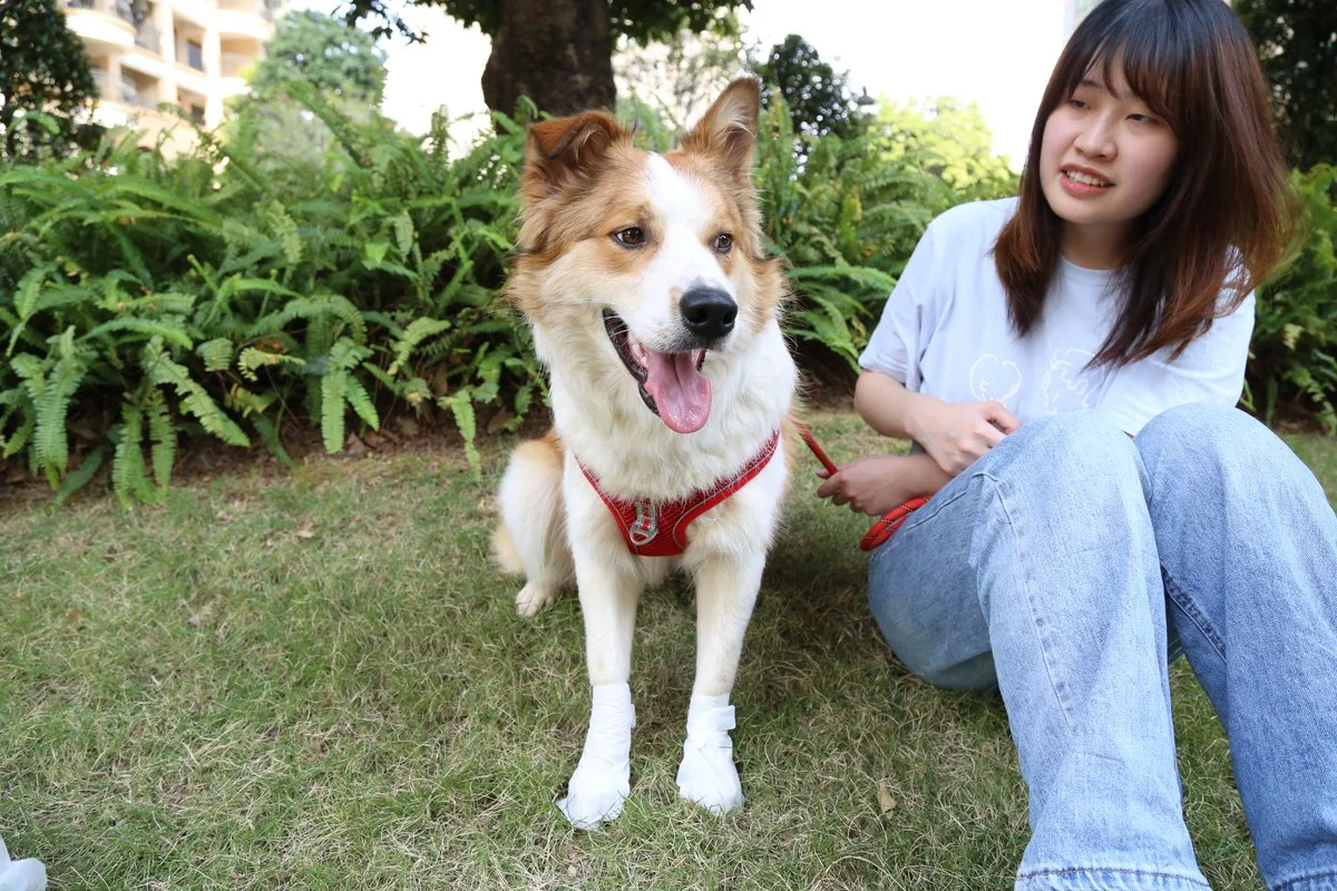 Pet Moisturizing Foot Mask thumbnail 10