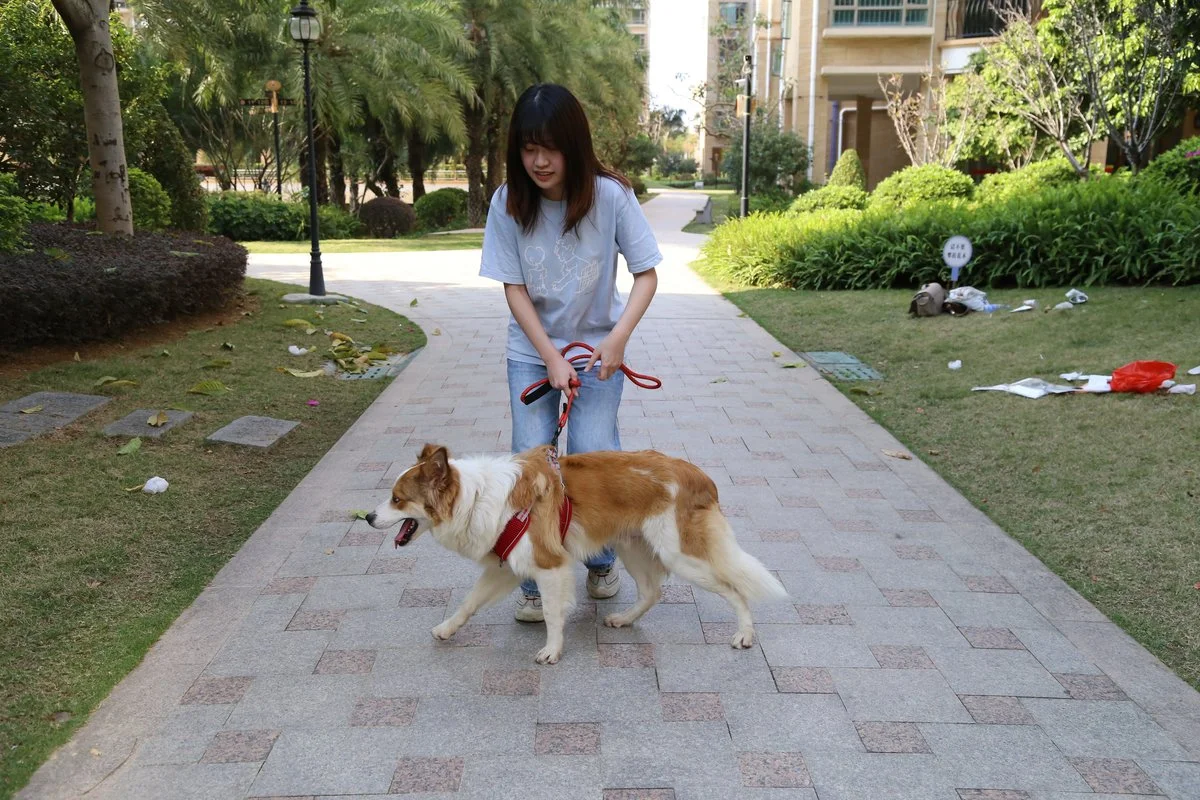 Pet Moisturizing Foot Mask thumbnail 12
