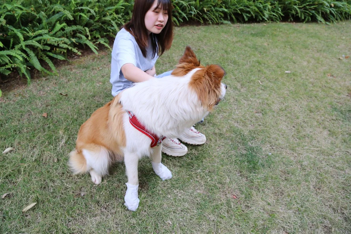 Pet Moisturizing Foot Mask thumbnail 13
