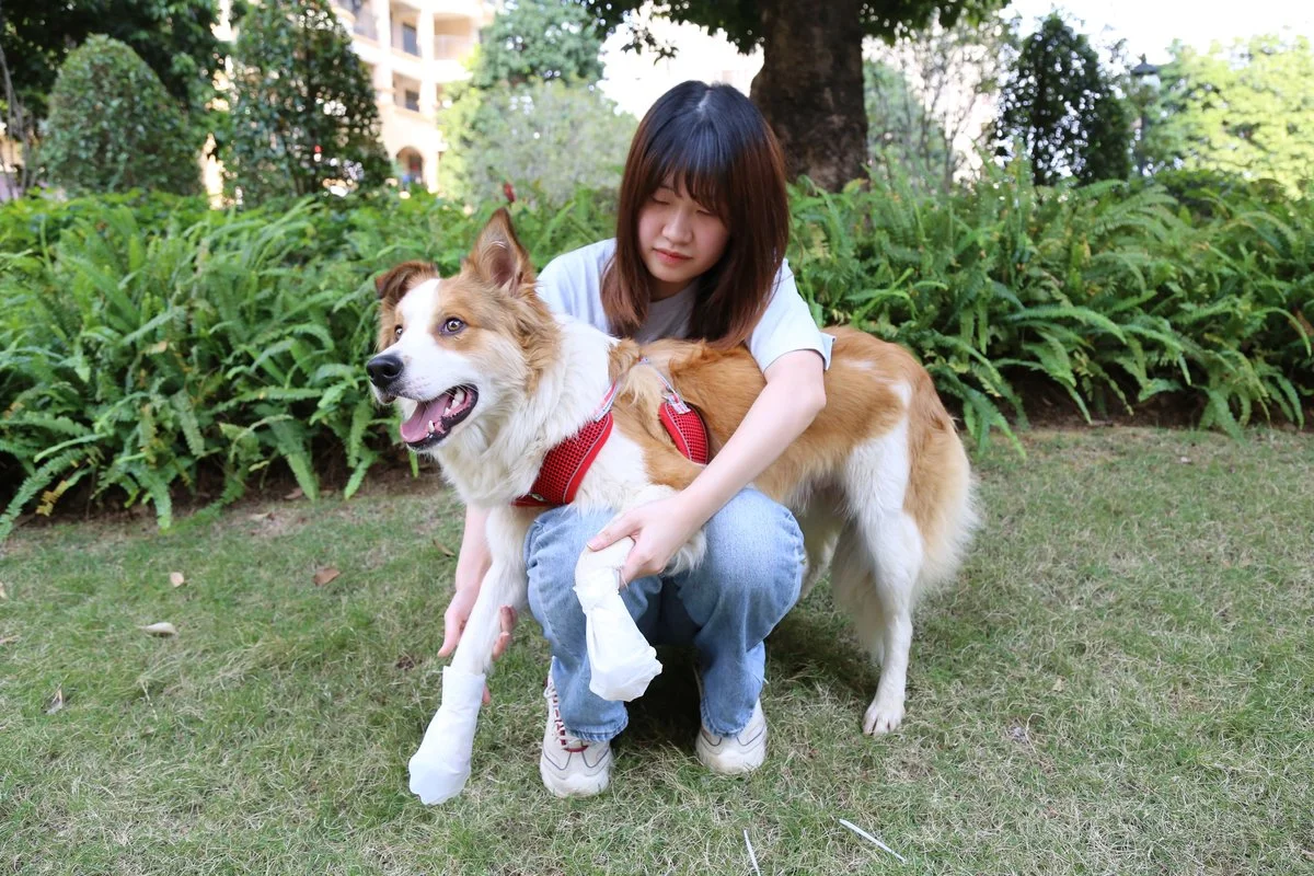 Pet Moisturizing Foot Mask thumbnail 16
