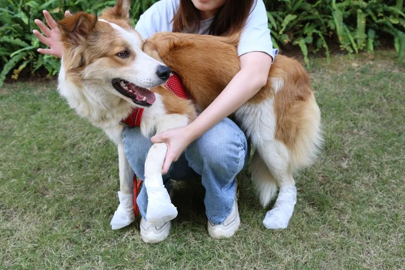 Pet Moisturizing Foot Mask detail 2