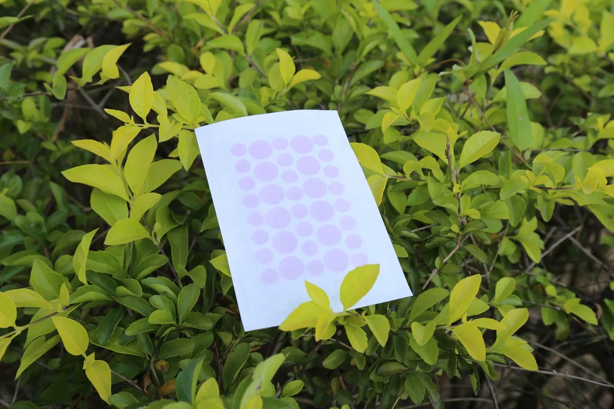 UV-Sensitive Acne Patch - 22