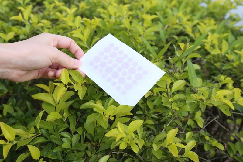 UV-Sensitive Acne Patch - 11